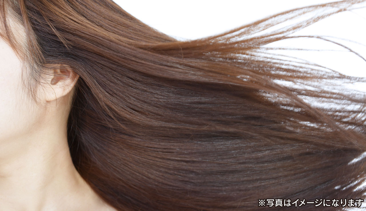 Panasonic パナソニック 頭皮エステ 女性の髪 イメージ