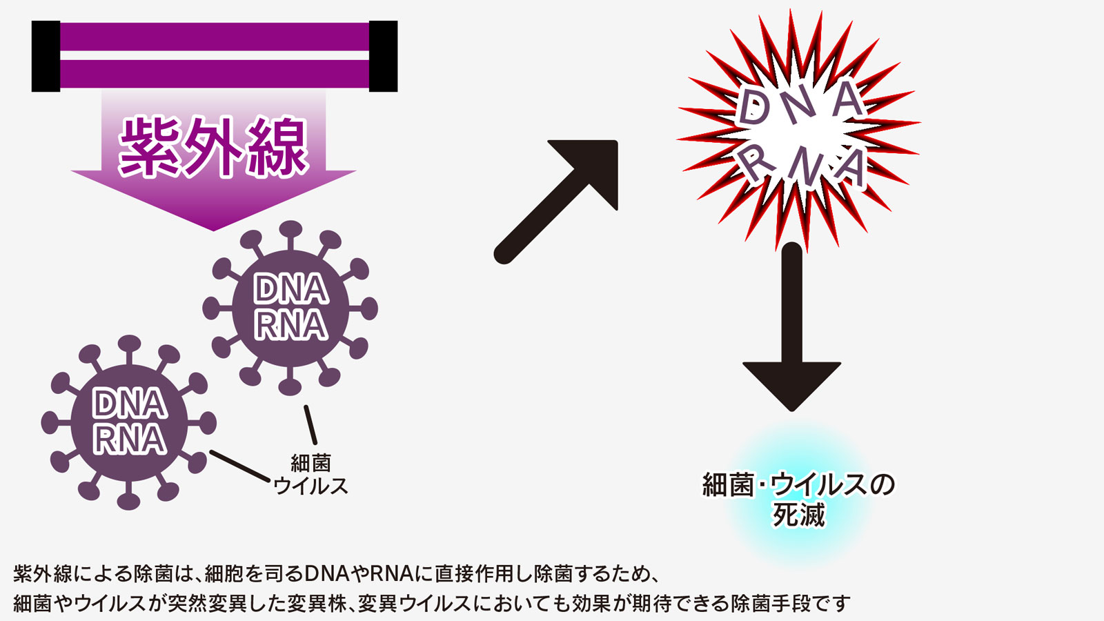 エアーリア 新型コロナウイルス 説明画像
