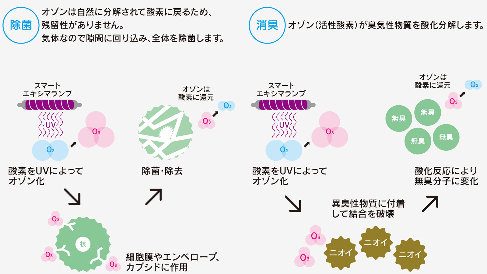 小型オゾン除菌消臭器 菌 説明画像